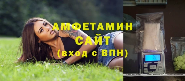 твердый Бородино