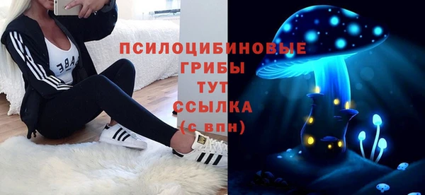прущий лед Бронницы