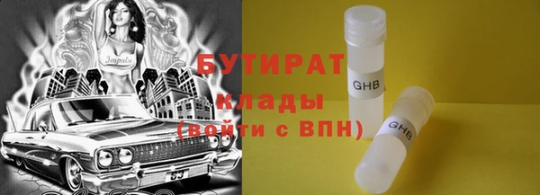 твердый Бородино