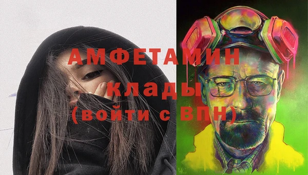 твердый Бородино