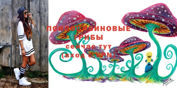 дживик Бугульма