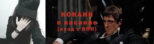 твердый Бородино