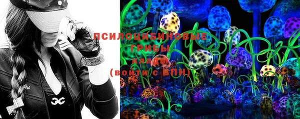 твердый Бородино