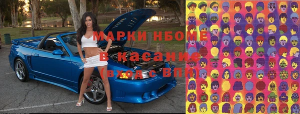 твердый Бородино