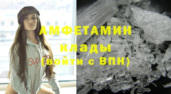 твердый Бородино