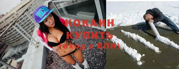 твердый Бородино