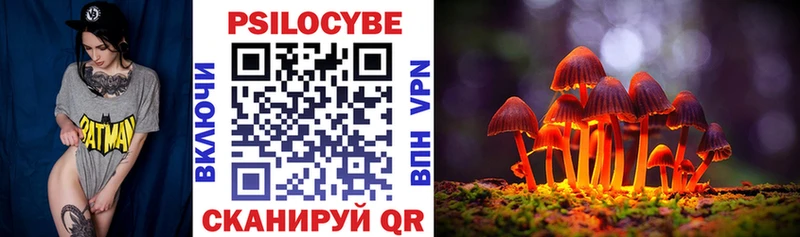 маркетплейс наркотические препараты Колпашево OMG как войти Псилоцибиновые грибы мицелий что такое